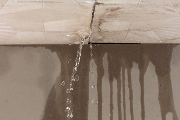 Professional Sewage Cleanup technician working in Ledbetter, KY